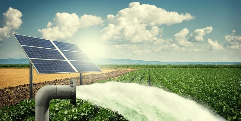 Solar Panel